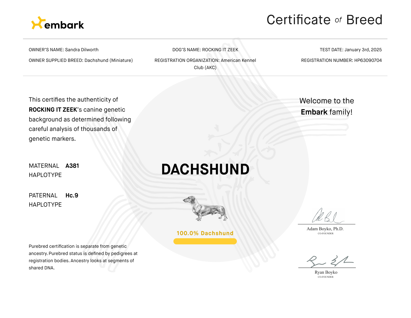 Rocking It Zeek’s Embark Certificate of Breed showing 100.0% Dachshund